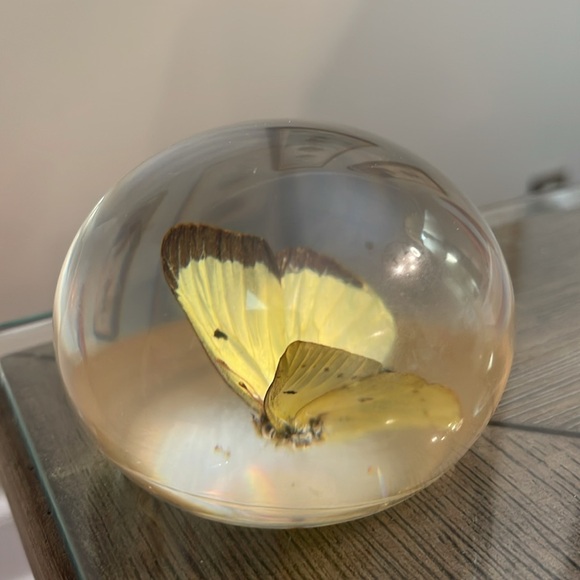 TARAX INFINITY PRODUCTS Yellow Butterfly  PAPERWEIGHT, HANDCRAFTED IN CANADA - Picture 13 of 17